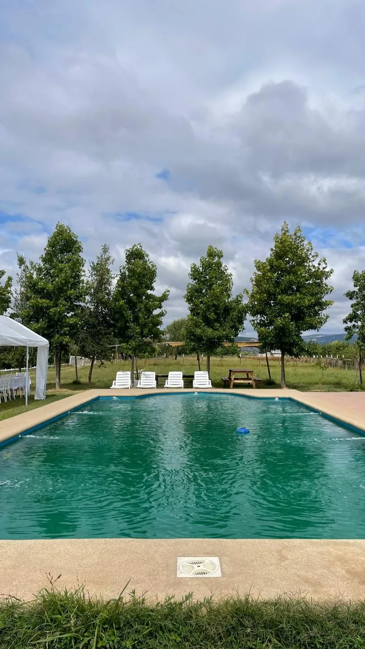 Piscina rodeada de árboles y césped, con reposeras y mesa de picnic al fondo