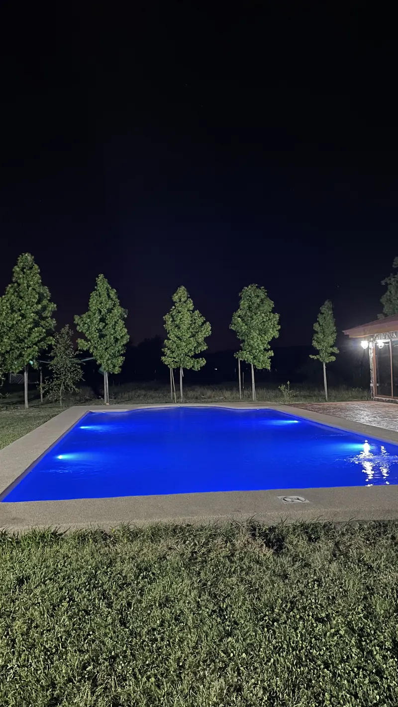 Piscina iluminada de noche con hilera de árboles